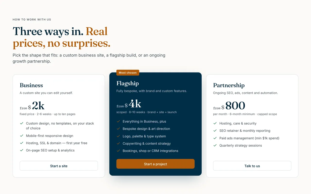 Merlin Wise home page pricing section with Business, Flagship and Partnership cards